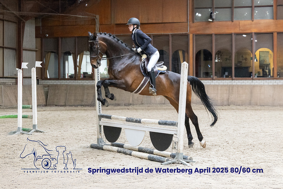 Springwedstrijd De Waterberg April 2025 – 80/60cm