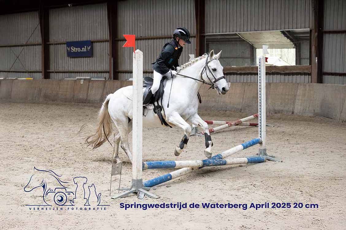 Springwedstrijd De Waterberg April 2025 – 20cm
